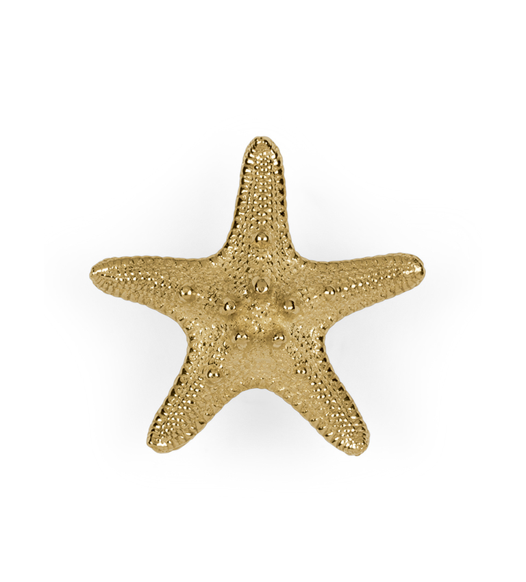 Linckia circu magical furniture kids hardware