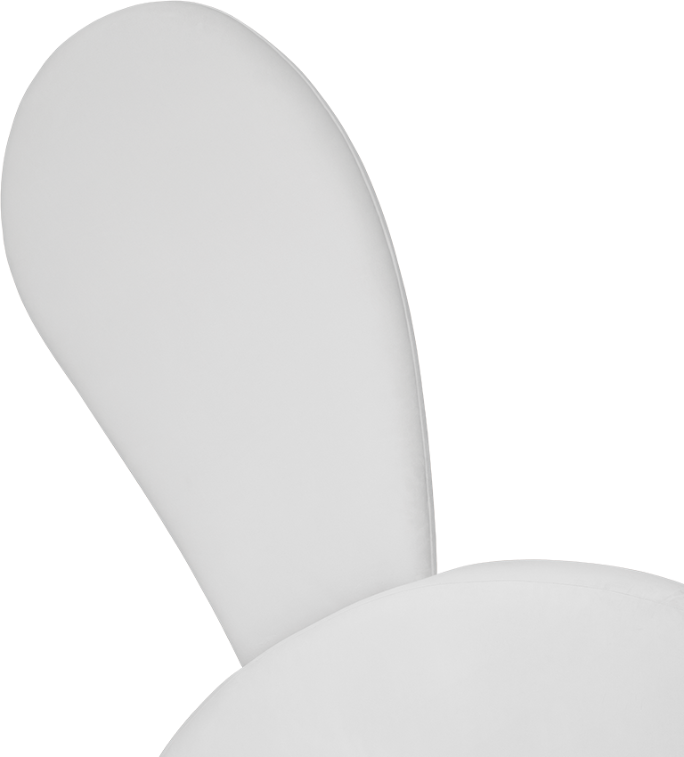 Mr. Bunny circu magical furniture kids beds